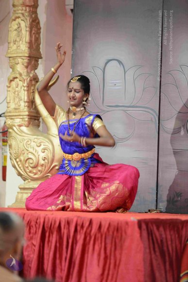 20161004_Photo_1016_DSC_9435_CMP_WM