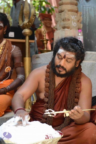 SADASHIVOHAM-ALCHEMY-PROCESS_Photo_1022_DSC_2230_CMP_WM