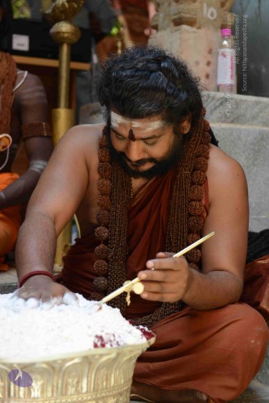 SADASHIVOHAM-ALCHEMY-PROCESS_Photo_1026_DSC_2234_CMP_WM