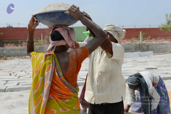 20161027_Photo_1001_DSC_9119_CMP_WM