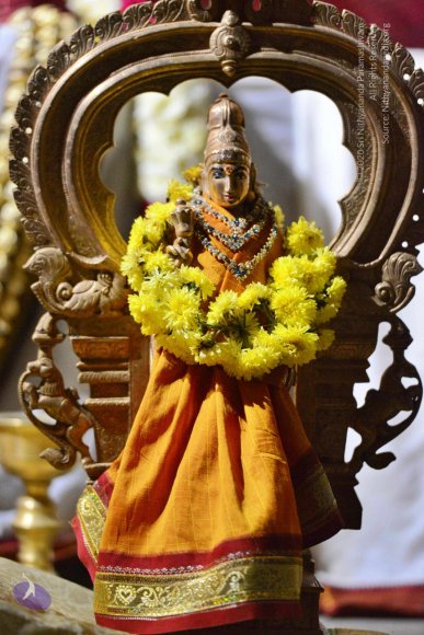 03-Kali-Puja_Photo_1001_DSC_0037_CMP_WM