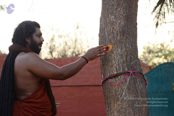 20161031_Photo_1001_DSC_2038_CMP_WM