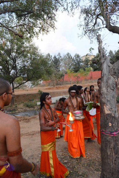 20161031_Photo_1003_DSC_2186_CMP_WM