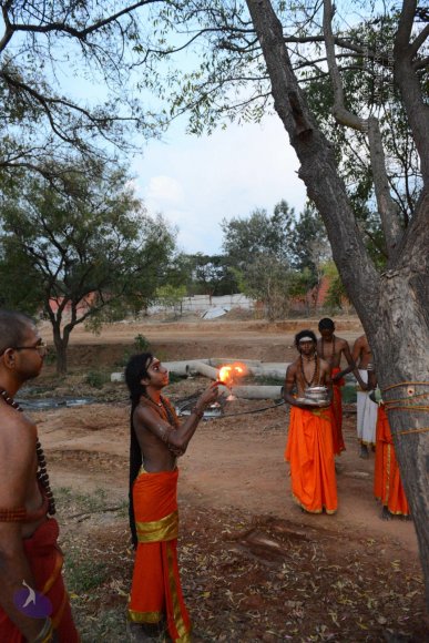 20161031_Photo_1004_DSC_2201_CMP_WM