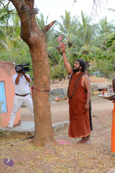 20161031_Photo_1005_DSC_2029_CMP_WM