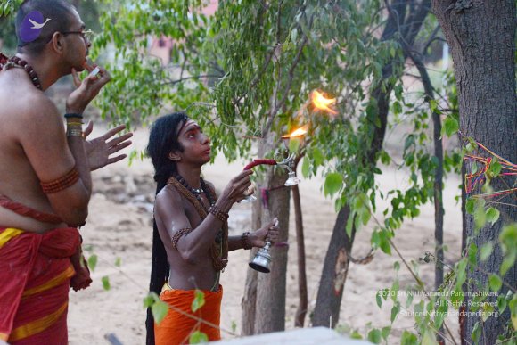 20161031_Photo_1006_DSC_2121_CMP_WM