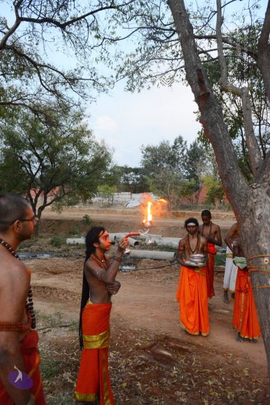 20161031_Photo_1007_DSC_2204_CMP_WM