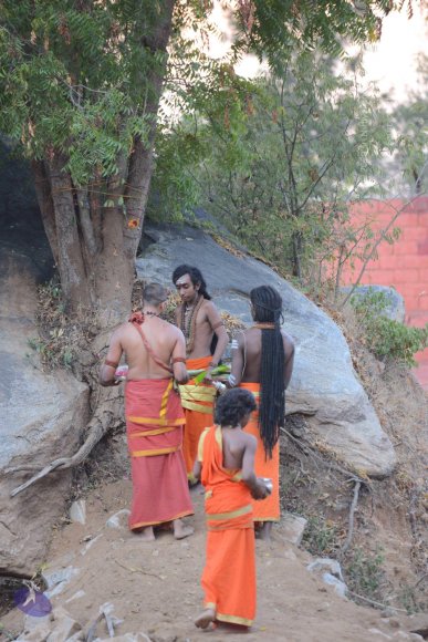 20161031_Photo_1008_DSC_2086_CMP_WM