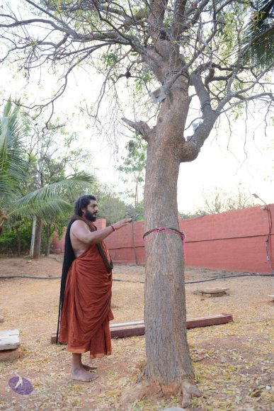 20161031_Photo_1011_DSC_2021_CMP_WM