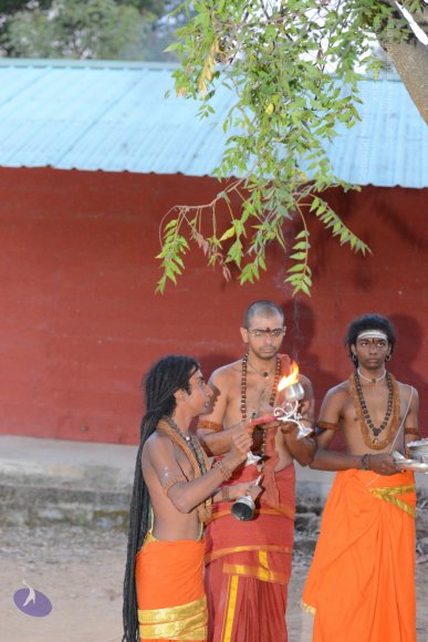 20161031_Photo_1014_DSC_2119_CMP_WM