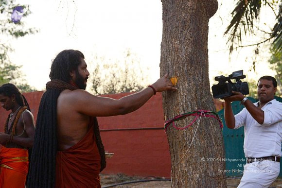 20161031_Photo_1021_DSC_2037_CMP_WM