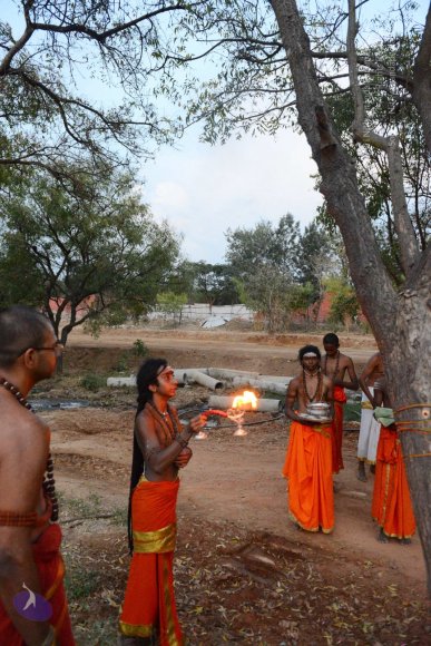 20161031_Photo_1022_DSC_2203_CMP_WM