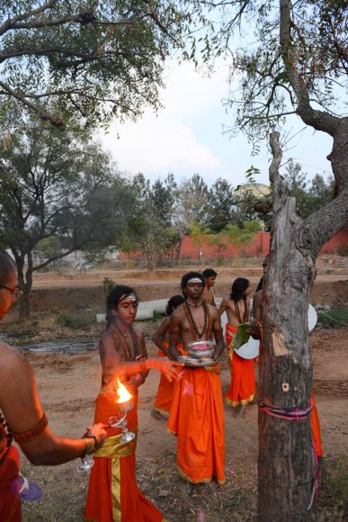 20161031_Photo_1026_DSC_2190_CMP_WM