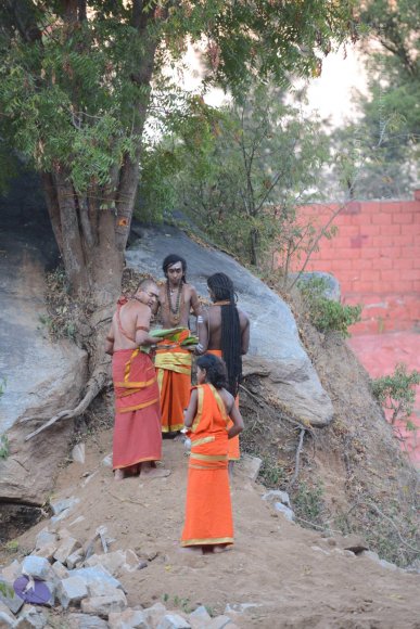 20161031_Photo_1031_DSC_2087_CMP_WM