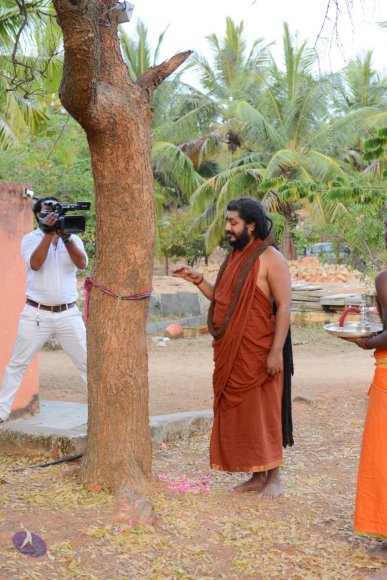 20161031_Photo_1032_DSC_2031_CMP_WM