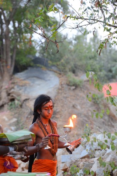 20161031_Photo_1033_DSC_2112_CMP_WM