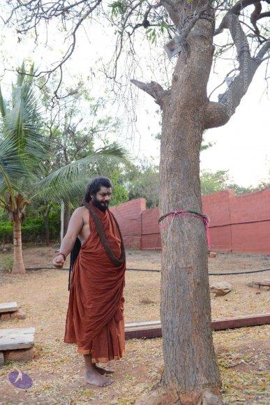 20161031_Photo_1037_DSC_2025_CMP_WM