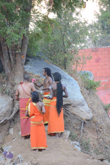 20161031_Photo_1038_DSC_2093_CMP_WM