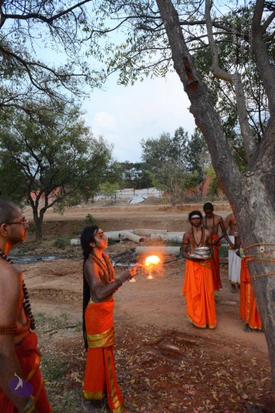 20161031_Photo_1041_DSC_2200_CMP_WM