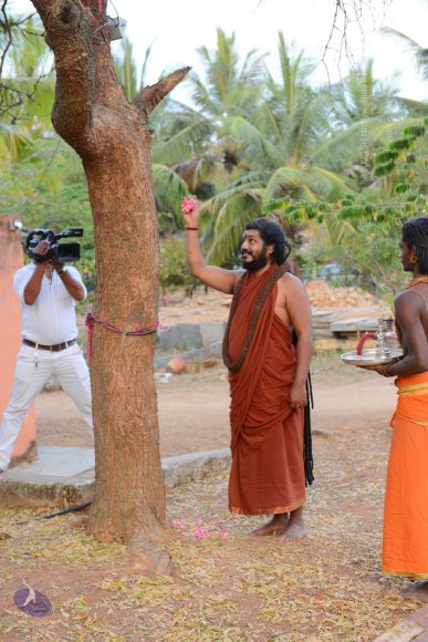 20161031_Photo_1042_DSC_2028_CMP_WM