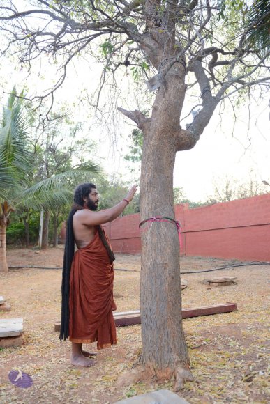 20161031_Photo_1049_DSC_2022_CMP_WM