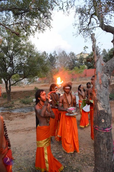 20161031_Photo_1052_DSC_2185_CMP_WM