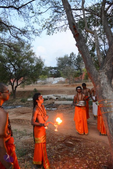 20161031_Photo_1054_DSC_2199_CMP_WM