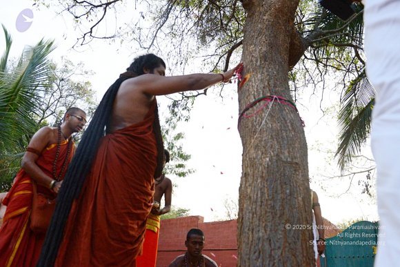 20161031_Photo_1058_DSC_2054_CMP_WM