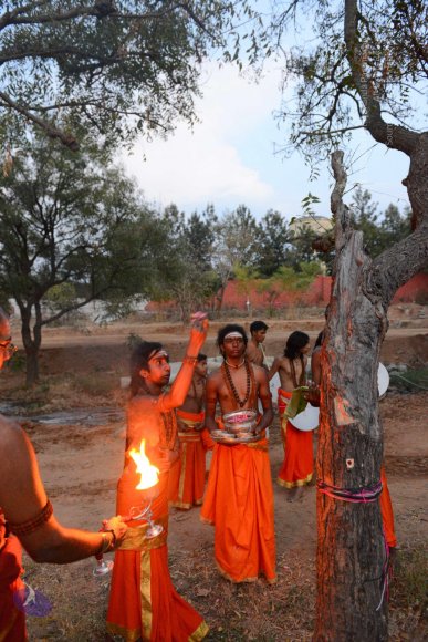 20161031_Photo_1059_DSC_2188_CMP_WM