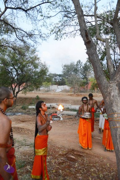 20161031_Photo_1060_DSC_2202_CMP_WM