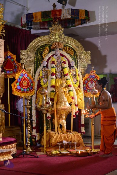 1-NITHYA-SATSANG_Photo_1196_DSC_1967_CMP_WM