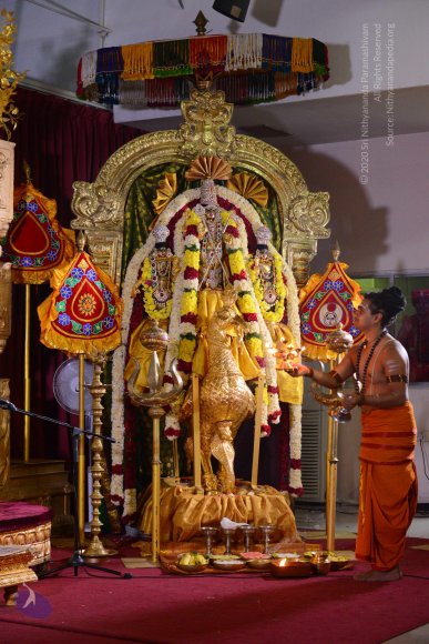 1-NITHYA-SATSANG_Photo_1197_DSC_1968_CMP_WM