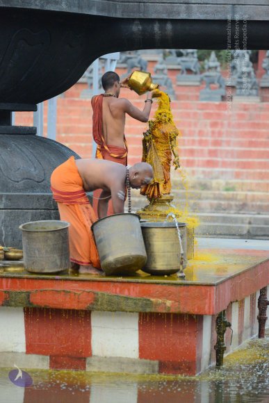 1-RUDRABHISHEKAM_Photo_1018_DSC_1562_CMP_WM