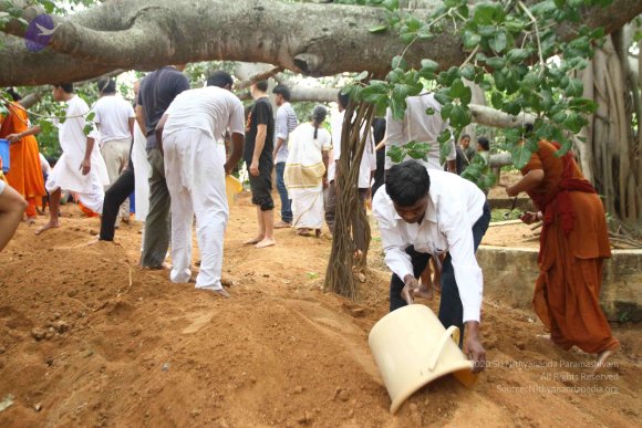 20160911_Photo_1028_IMG_1758_CMP_WM