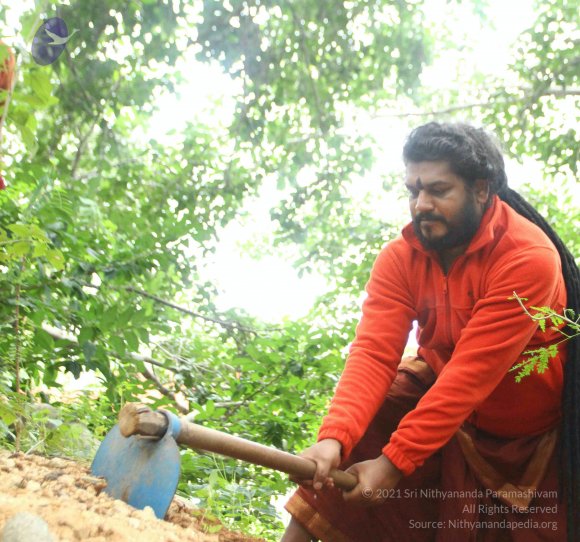 20160911_Photo_1055_IMG_1848_CMP_WM