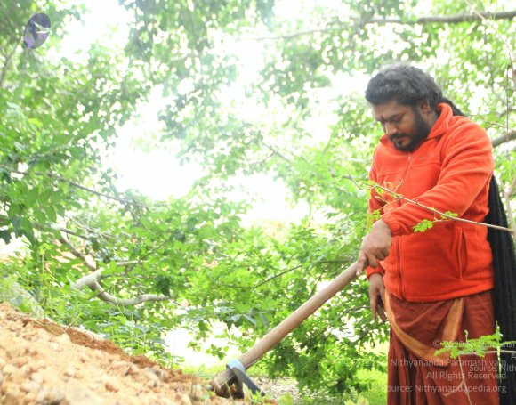 20160911_Photo_1058_IMG_1853_CMP_WM