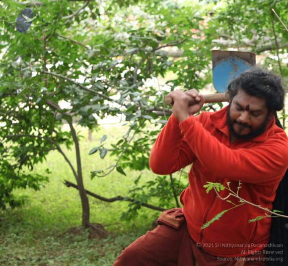 20160911_Photo_1074_IMG_1933_CMP_WM