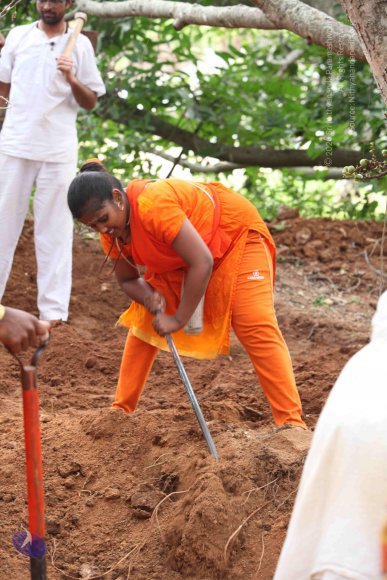 20160911_Photo_1090_IMG_2053_CMP_WM