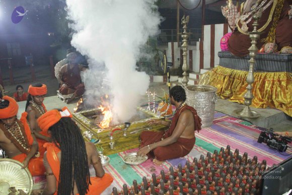 20170808_Photo_1014_IMG_0253_CMP_WM