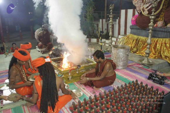 20170808_Photo_1015_IMG_0254_CMP_WM