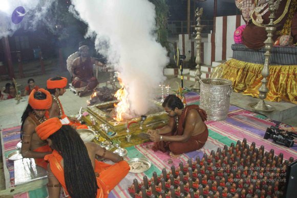 20170808_Photo_1016_IMG_0255_CMP_WM