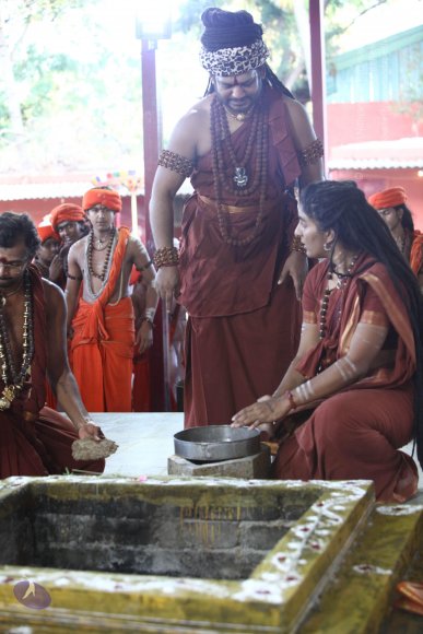 20170808_Photo_1038_IMG_1414_CMP_WM