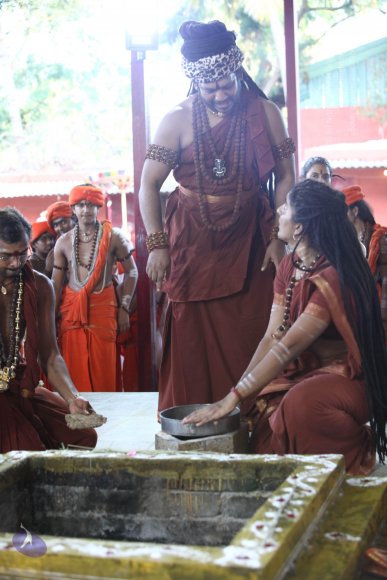 20170808_Photo_1039_IMG_1415_CMP_WM