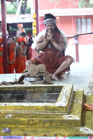 20170808_Photo_1041_IMG_1430_CMP_WM