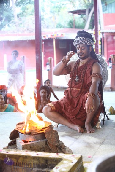 20170808_Photo_1048_IMG_1473_CMP_WM