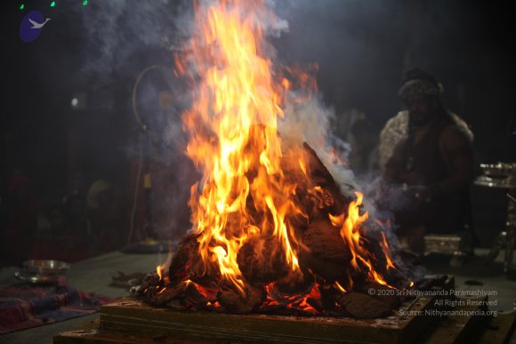 20170808_Photo_1114_IMG_1965_CMP_WM