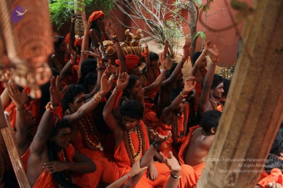 20170808_Photo_1036_IMG_0170_CMP_WM