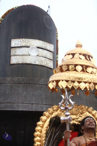 20170814_Photo_1036_IMG_4836_CMP_WM