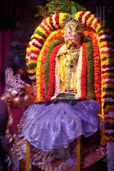 20170814_Photo_1002_IMG_4998_CMP_WM