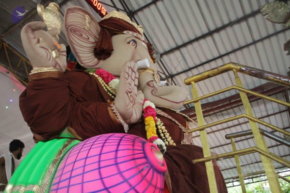 20170816_Photo_1003_IMG_0014_CMP_WM